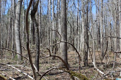 0 County Road 30 unit 1316294, Roanoke, AL 36274 - photo 2