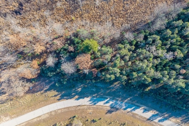 11250 Killarney Dr, Canadian Lakes, MI 49346 - photo 3