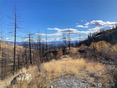 1111 Bottom Rd, Tonasket, WA 98855 - photo 3