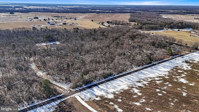 696 Spectrum Farms Rd, Felton, DE 19943 - photo 4
