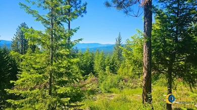Fwp Region 1 unit Hunting District 122, Plains, MT 59859 - photo 5