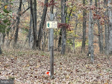 LOT 19 Sharons Way, Keyser, WV 26726 - photo 2