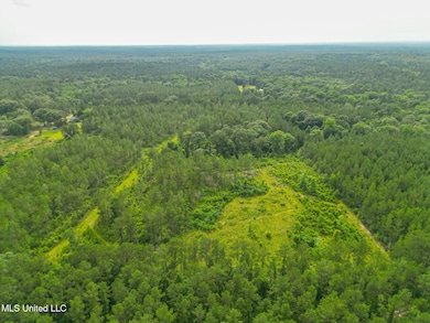 212 Tower Rd, Wiggins, MS 39577 - photo 3