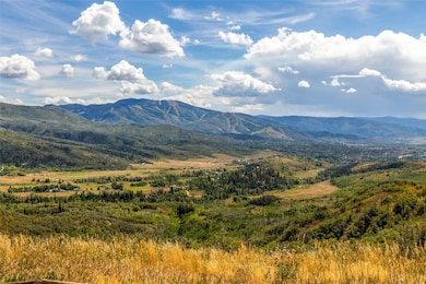 30800 Game Trails Dr, Steamboat Springs, CO 80487 - photo 6