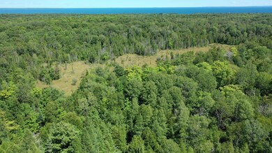 0 King's Hwy unit 201822046, Beaver Island, MI 49782 - photo 2