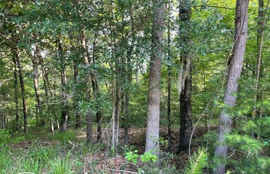 106b Calico Ct, Alberta, AL 36720 - photo 2