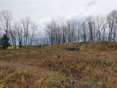 0 Woodbury Rd, Washington Township, PA 15824 - photo 3