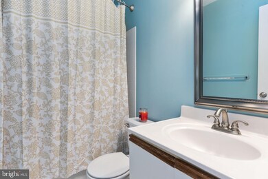 46741 Hobblebush Terrace, Sterling, VA 20164 - photo 6