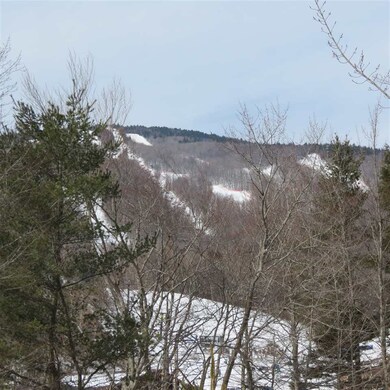 2 Spaulding Farm Rd, Ludlow, VT 05149 - photo 3