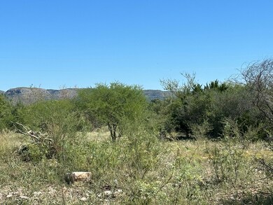 22189 Texas 55, Uvalde, TX 78801 - photo 4