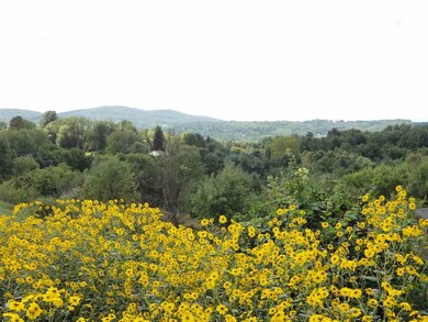 141 Cushman Rd, Melrose, NY 12121 - photo 2