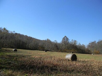 330 Cliff Ln, Tennessee Ridge, TN 37178 - photo 2