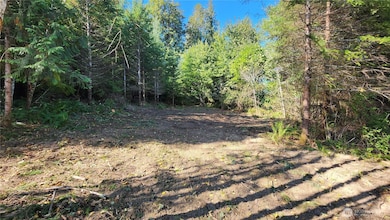 5742 Duane Ln NW, Olympia, WA 98502 - photo 4