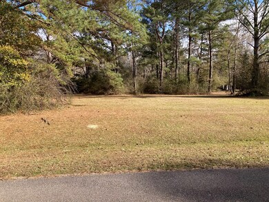 00 Audubon Place, Picayune, MS 39466 - photo 3