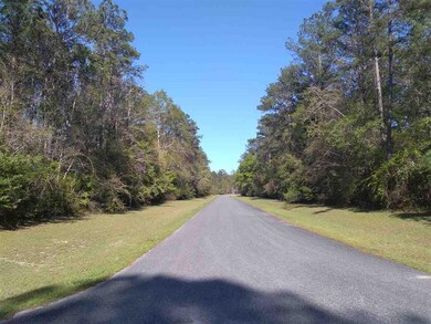 XX Citation Way, Crawfordville, FL 32327 - photo 3