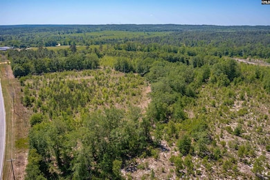 tbd Mack St, Gaston, SC 29053 - photo 6