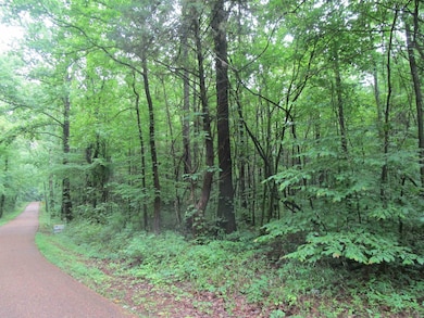 View of woods