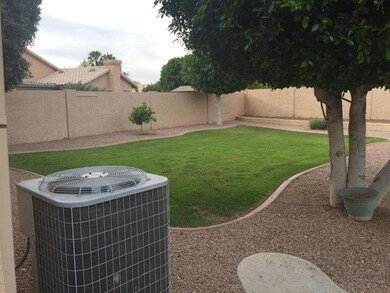 Back yard