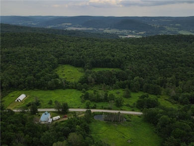 Lot 3 Oregon Rd, Gilbertsville, NY 13776 - photo 6