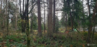 256 XX 86th Ave E, Graham, WA 98338 - photo 3