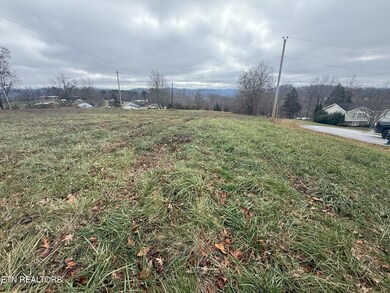 Lot #4 Oak Point Dr, Jonesville, VA 24263 - photo 5