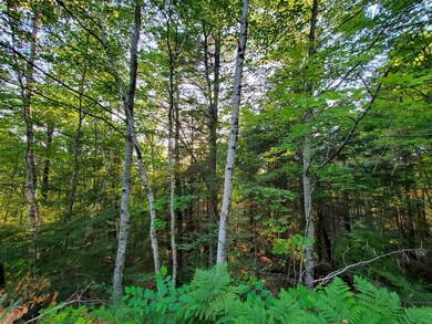 Lot 3 Carriage Rd, Bridgewater, NH 03222 - photo 2