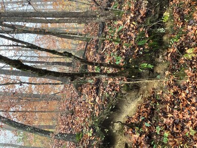 00 Hunter Branch Rd, Garrett, KY 41630 - photo 6