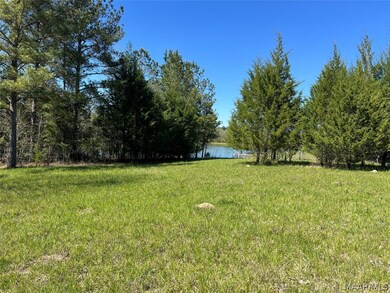 Lot 1 N Leahmon Ln, Mathews, AL 36052 - photo 3