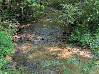 4932 Zion Hill Rd, Ellijay, GA 30540 - photo 4