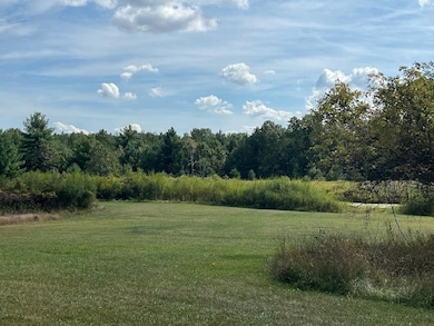 33 Acres 10th Ave, Adams, WI 53910 - photo 3