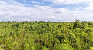 9ac Ouzts Rd, Edgefield, SC 29824 - photo 2