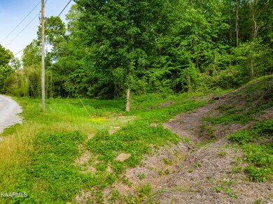 711 Bear Hollow Way-8