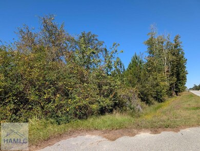 00 U S 301, Jesup, GA 31546 - photo 6