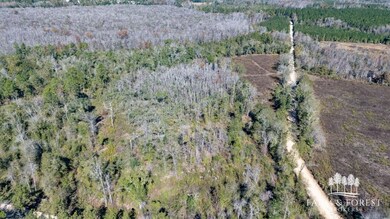 XX2 Seay Rd, Cottondale, FL 32431 - photo 7