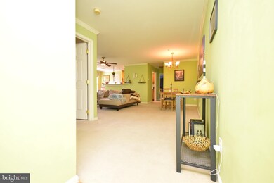 11014 Koman Cir unit 203, Manassas, VA 20109 - photo 7