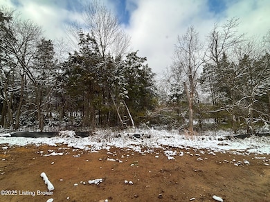 16822 Aiken Ridge Cir, Louisville, KY 40245 - photo 3