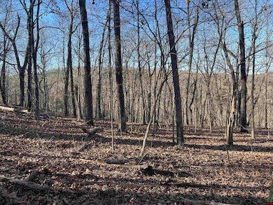 0 Mc 8060 unit 132985, Yellville, AR 72687 - photo 6