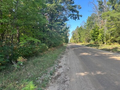 PAR B 16th St, Baldwin, MI 49304 - photo 2