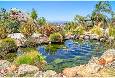 Custom Koi pond