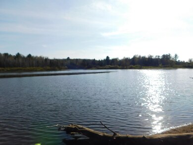 N9142 Cth O, Tomahawk, WI 54487 - photo 3