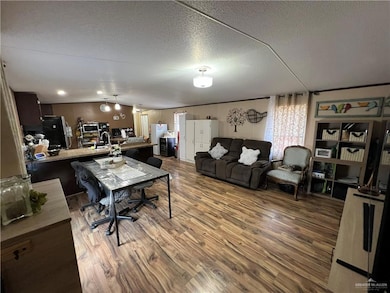 301 E Oscar Gonzalez Ave, Elsa, TX 78543 - photo 3