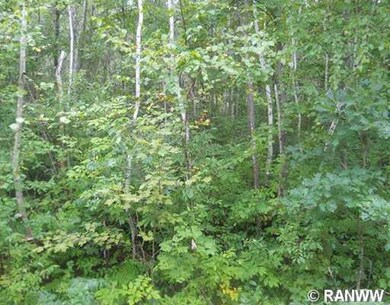 0 16th Ave unit 881556, Sumner Township, WI 54868 - photo 3