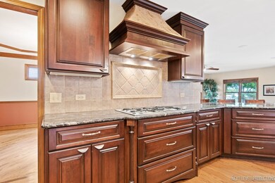 1032 Kristin Ct, Batavia, IL 60510 - photo 5