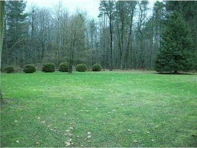 Yard/Garden