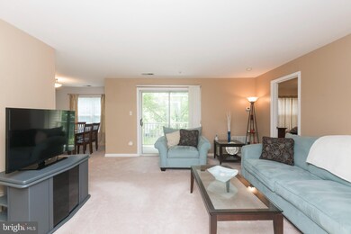 9150 Gracious End Ct unit 202, Columbia, MD 21046 - photo 7