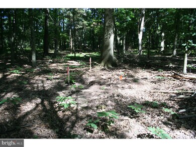 000 Stover Park Rd, Pipersville, PA 18947 - photo 2