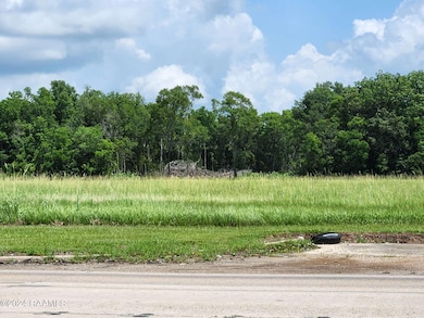 700 Blk W Summers Hwy 14 Dr, Abbeville, LA 70510 - photo 6