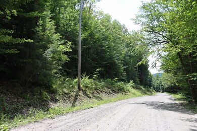 0 Heald Rd unit 4875729, Cavendish, VT 05142 - photo 2