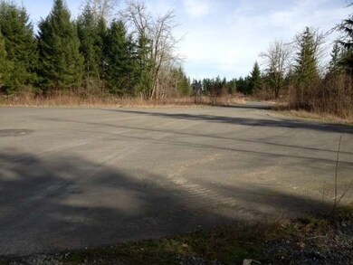 13943 Rainier View Dr SE, Yelm, WA 98597 - photo 3