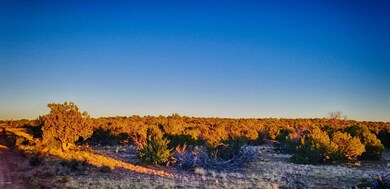 20200930_174428-HDR